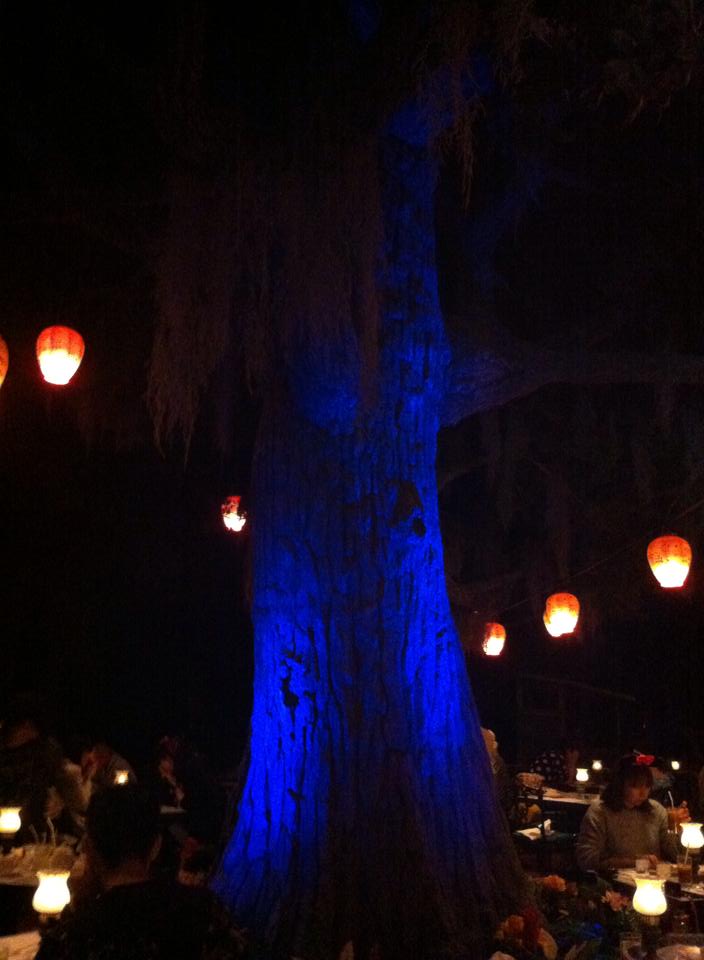 Blue Bayou Tree TDR