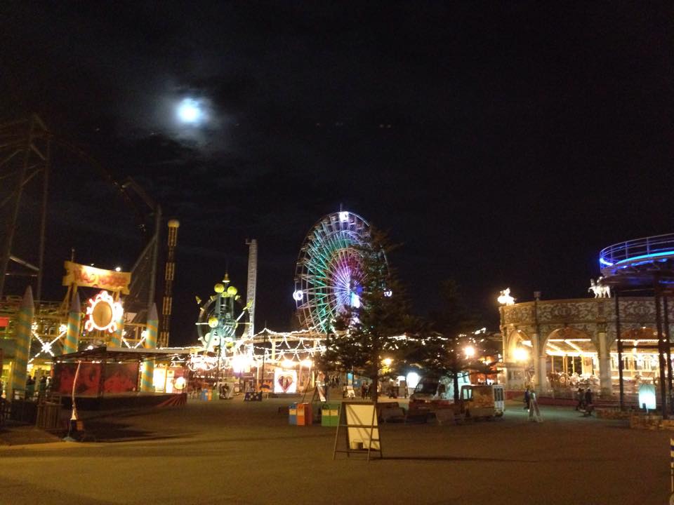 Mt Fuji amusement park at night