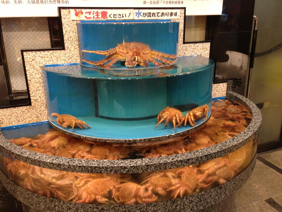 Crab restaurant Osaka Dotonbori